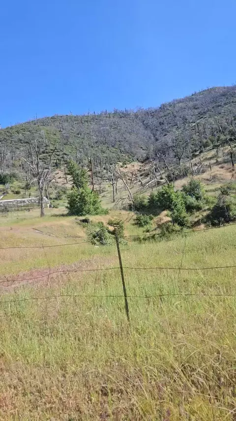 12338 E Fork Rd, French Gulch, CA 96033 photo 17
