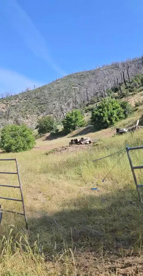 12338 E Fork Rd, French Gulch, CA 96033 photo 15