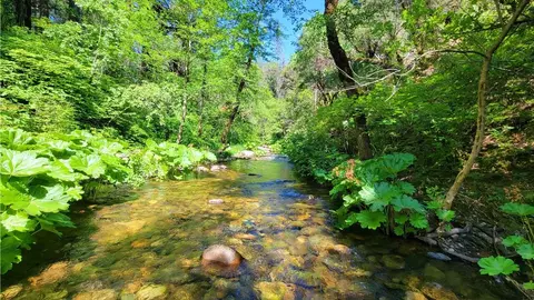 40 5 Acres Fenders Ferry Rd, Lakehead, CA 96051