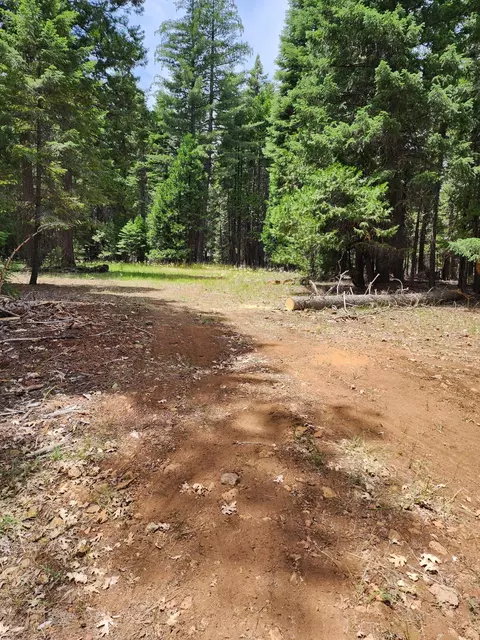 Lot 14 Pony Express Ln, Shingletown, CA 96088