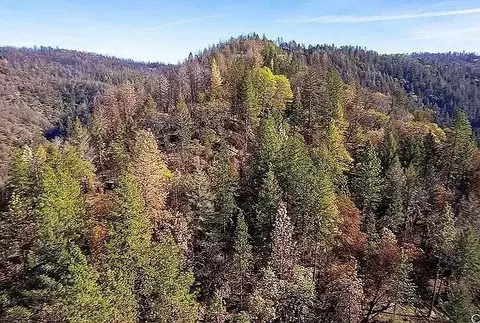 Toomes Camp Rd, Red Bluff, CA 96080