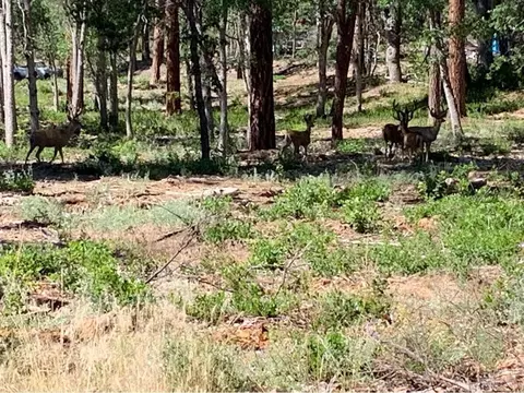 45292 Big Lake Rd, Mcarthur, CA 96056