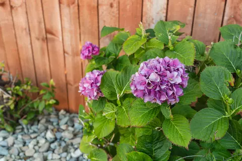 Other - 562 Centavo Way, Redding, CA 96003 photo 5 of 5