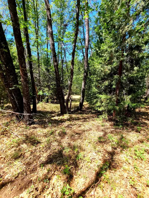 Aspen Dr, Weed, CA 96094 photo 6