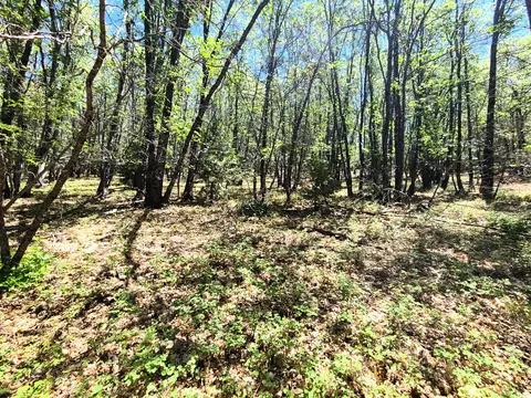 Aspen Dr, Weed, CA 96094 photo 5