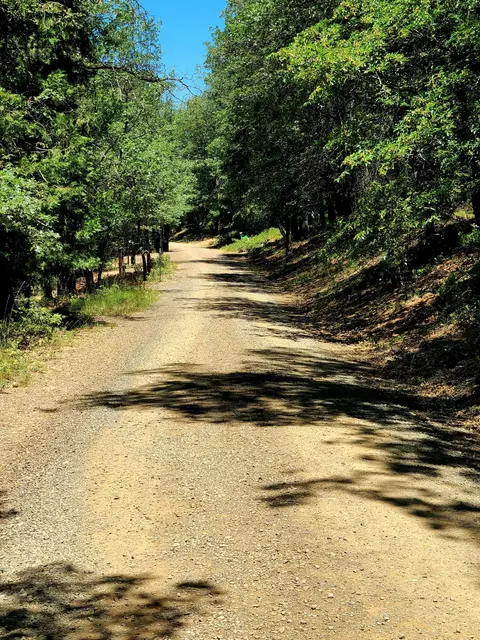 Aspen Dr, Weed, CA 96094 photo 9