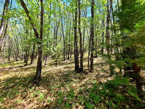 Aspen Dr, Weed, CA 96094 photo 10