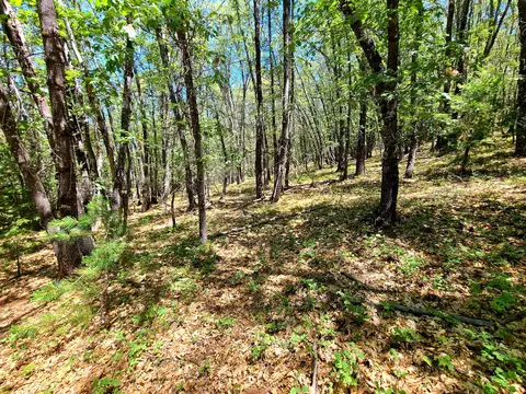 Aspen Dr, Weed, CA 96094 photo 4
