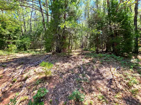 Aspen Dr, Weed, CA 96094 photo 7