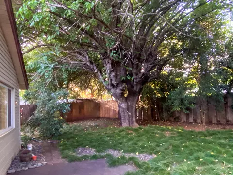 2336 Belladonna St, Redding, CA 96002 photo 20