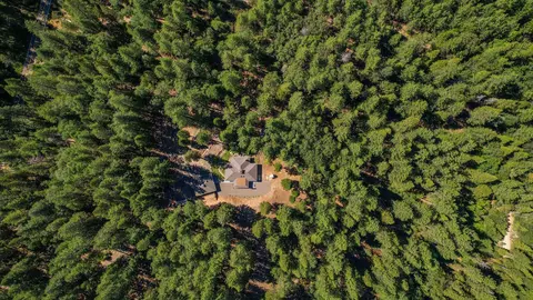 View/Area - 13956 Barbara Ln, Whitmore, CA 96096 photo 1 of 1