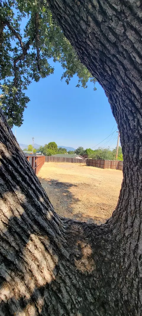 Exterior - 4091 St Patricks Ave, Redding, CA 96003 photo 2 of 4