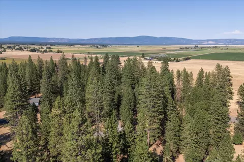 27067 Walker Dr, Fall River Mills, CA 96028 photo 64