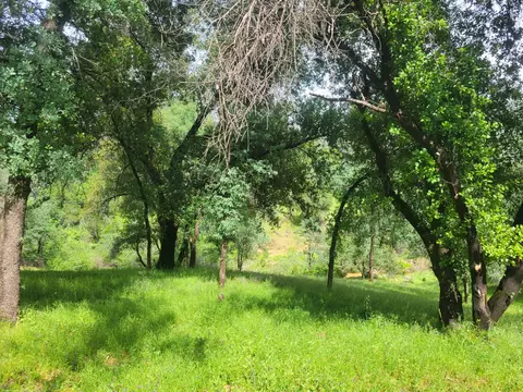 13417 Tierra Heights Rd, Redding, CA 96003 photo 4