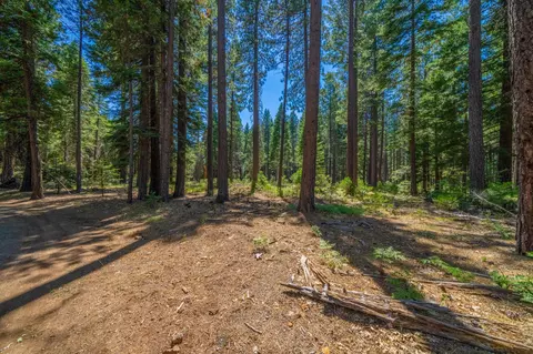 36520 Deer Flat Rd, Shingletown, CA 96088 photo 3