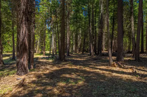 36520 Deer Flat Rd, Shingletown, CA 96088 photo 26