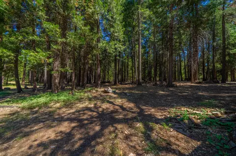 36520 Deer Flat Rd, Shingletown, CA 96088 photo 24