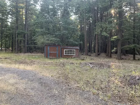 34791 Big Trees Ln, Shingletown, CA 96088 photo 8