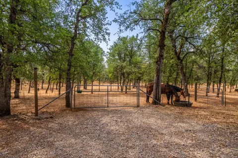 13688 Hilford Ln, Redding, CA 96003 photo 20