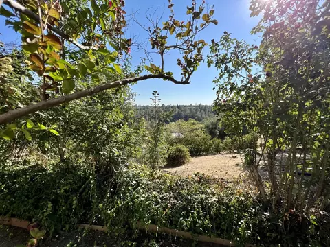 2535 Starlight Blvd, Redding, CA 96001 photo 31