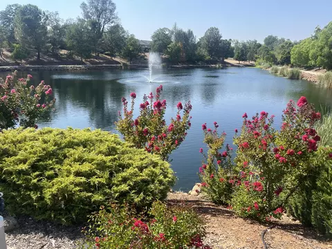 1962 Wineberry Path, Redding, CA 96003 photo 9