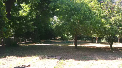 363 Hamilton St, Redding, CA 96001 photo 16