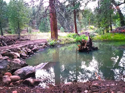 40 Co Rd 150, Adin, CA 96006