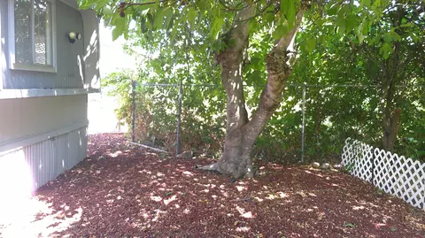 471 Bitterroot Dr Sp #42, Redding, CA 96003 photo 30