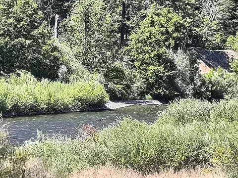 299 299 W # W, Junction City, CA 96048