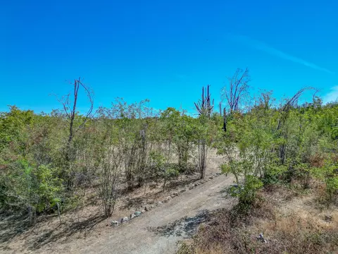 16155 Bush St, Redding, CA 96001 photo 8