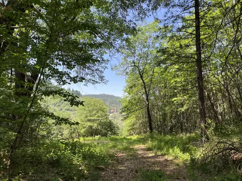 30100 Pit 5 Rd, Big Bend, CA 96011
