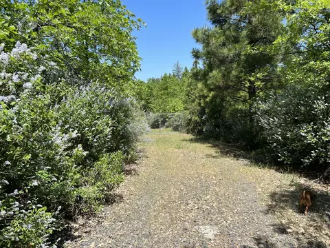 30100 Pit 5 Rd, Big Bend, CA 96011 photo 3