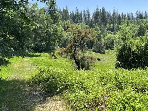 30100 Pit 5 Rd, Big Bend, CA 96011 photo 2