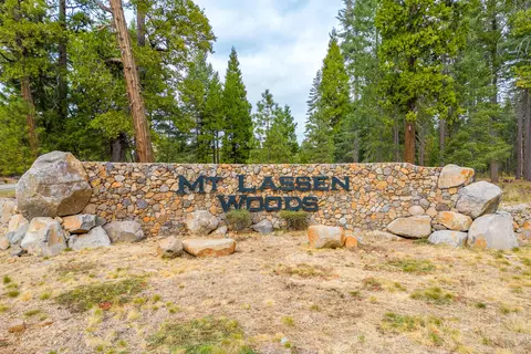 7860 Princess Pine Pl, Shingletown, CA 96088 photo 2