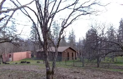 539 Carter Gulch Rd, Hayfork, CA 96041 photo 2
