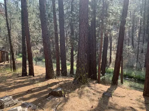 549 County Road 130, Bieber, CA 96009 photo 4