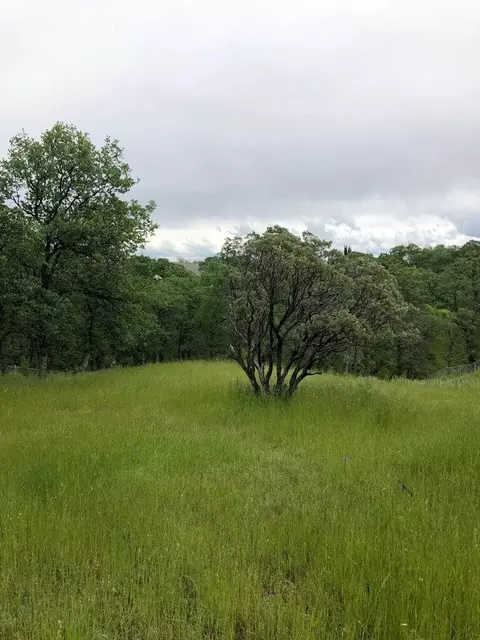 19566 Covington Mill Dr, Cottonwood, CA 96022