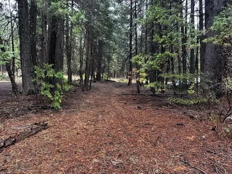 Westward Ho Road, Shingletown, CA 96088 photo 5