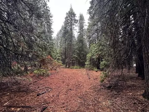 Westward Ho Road, Shingletown, CA 96088