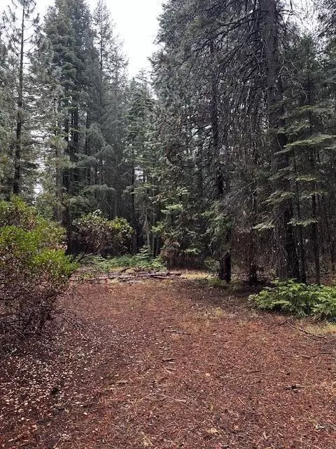 Westward Ho Road, Shingletown, CA 96088 photo 2