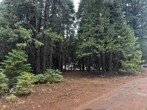 Westward Ho Road, Shingletown, CA 96088 photo 3