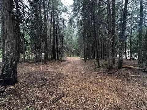 Westward Ho Road, Shingletown, CA 96088 photo 4
