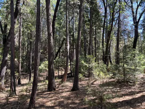 lot14 One Hundred Rd, Shingletown, CA 96088