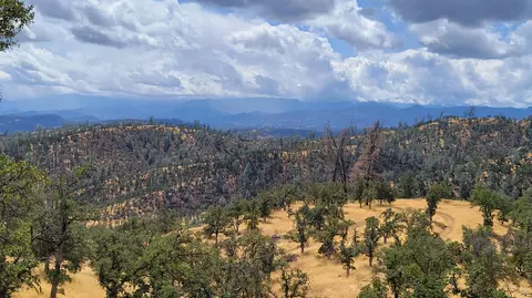 3700 Fiddlers Rd, Ono, CA 96047