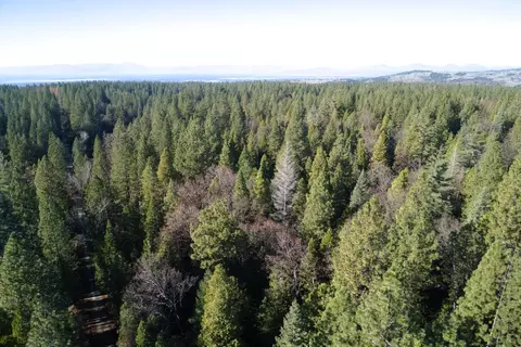 One Hundred Rd, Shingletown, CA 96088 photo 15