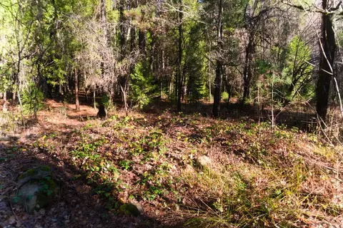 One Hundred Rd, Shingletown, CA 96088 photo 11