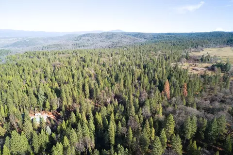 One Hundred Rd, Shingletown, CA 96088 photo 14