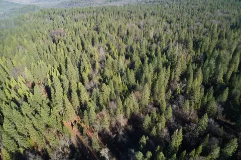 One Hundred Rd, Shingletown, CA 96088 photo 13
