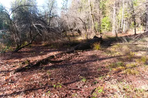 One Hundred Rd, Shingletown, CA 96088 photo 10