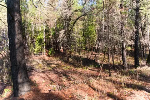 One Hundred Rd, Shingletown, CA 96088 photo 9
